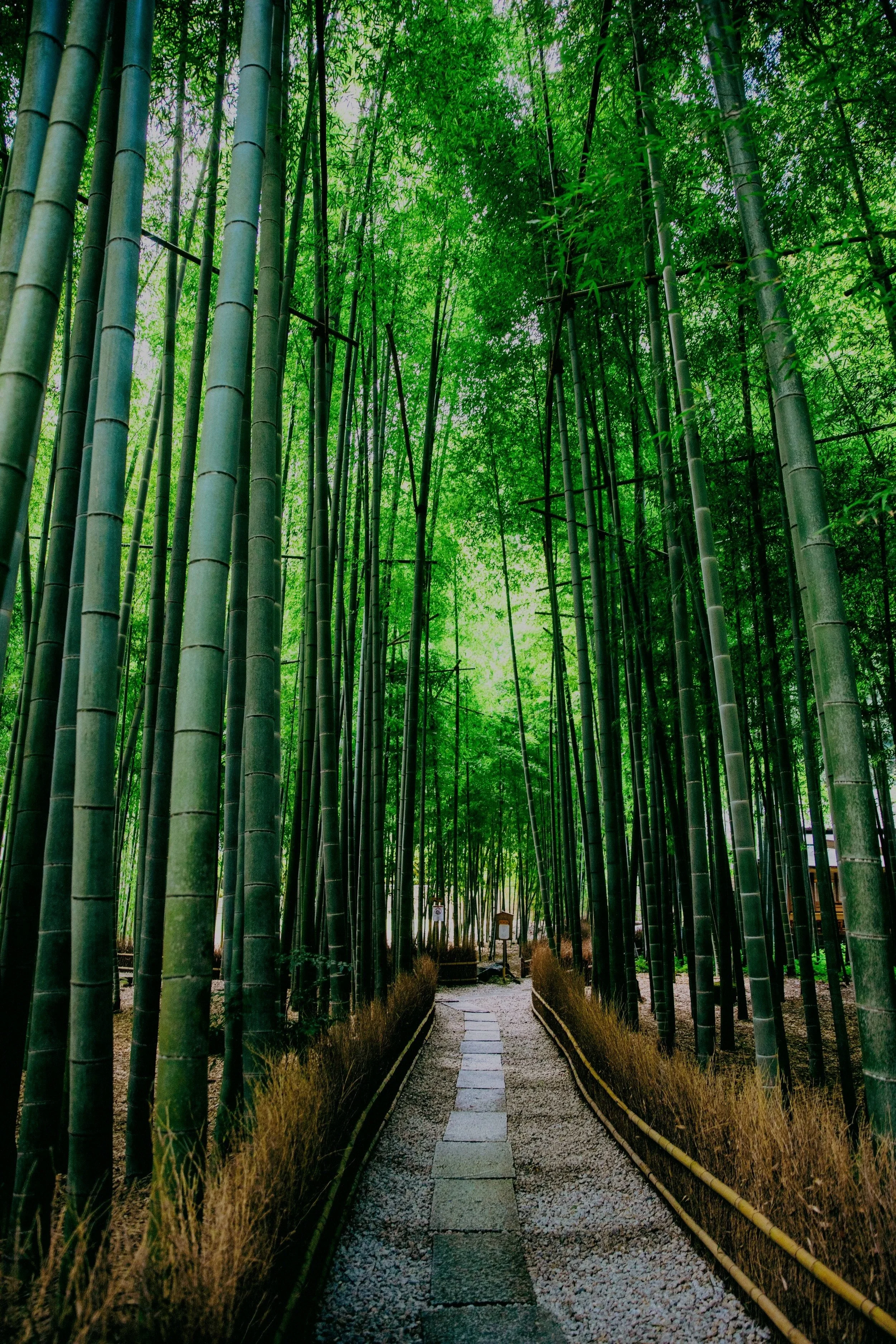 ま*♥様 YAMASHITA × I.F.C OUTER SPACE HOODI Space Structure Systems Laboratory